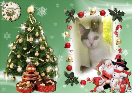 MÁZLI  (Kenderesi-Fejes)