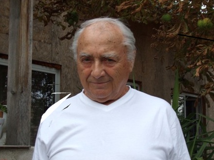 Faludi Imre  ( Süni papa)