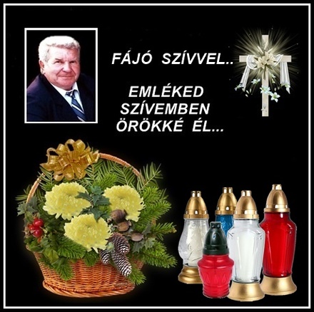 Fekete Sándor   