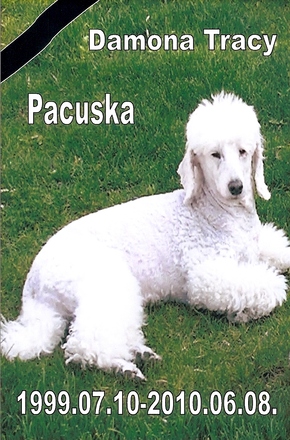 Pacuska